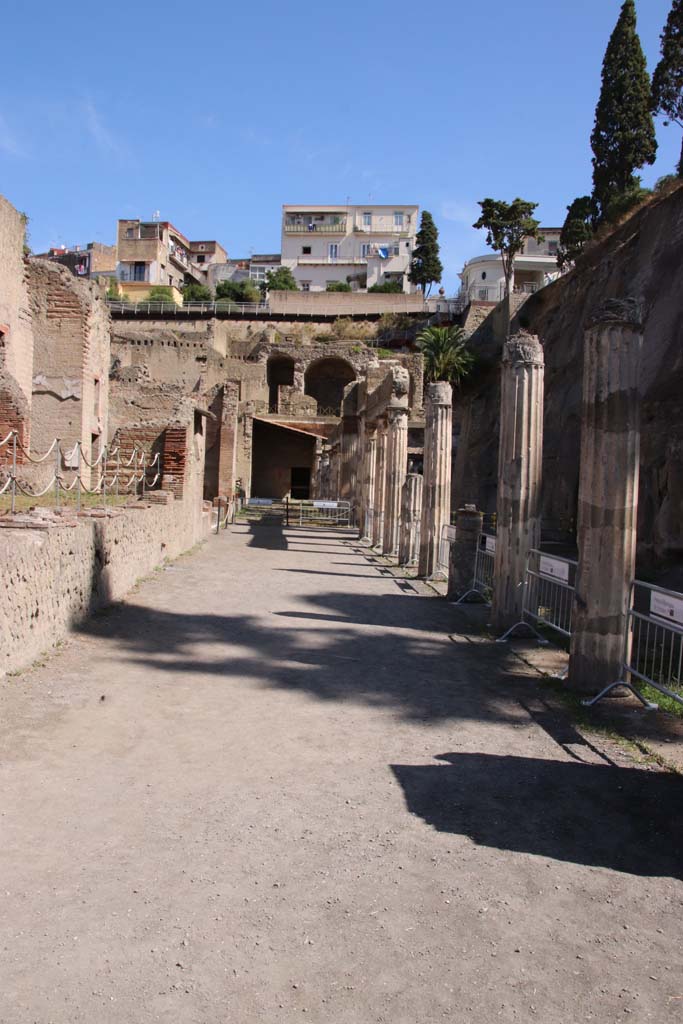 Ins. Orientalis II.4, Herculaneum, September 2019. Looking north across west portico.
Photo courtesy of Klaus Heese.